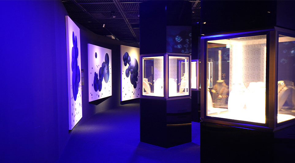 보노보노스케치